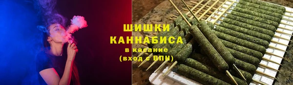 PSILOCYBIN Балабаново