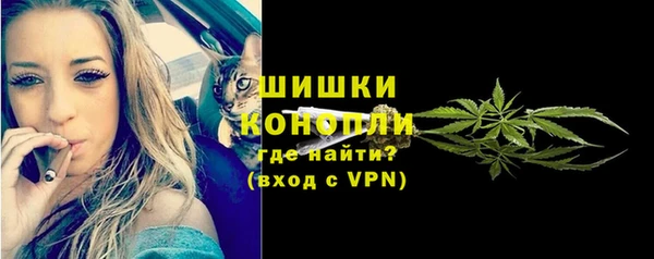 PSILOCYBIN Балабаново