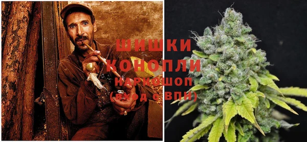 трава Балахна