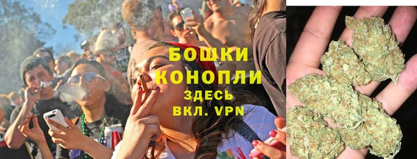 PSILOCYBIN Балабаново