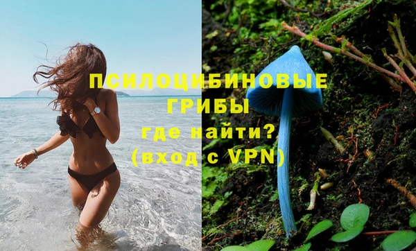 PSILOCYBIN Балабаново