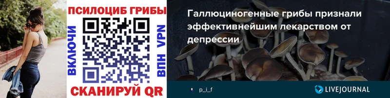 где продают наркотики  Сортавала  Галлюциногенные грибы MAGIC MUSHROOMS 